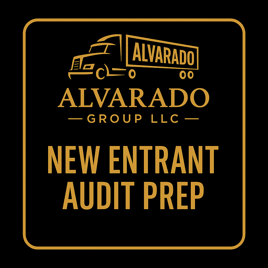 Auditoria Nuevo Entrante Preparacion